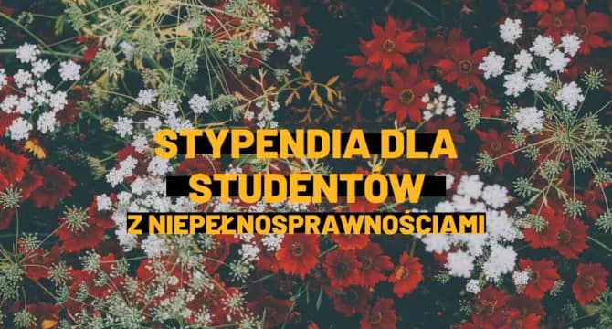 Ile wynosi stypendium dla niepełnosprawnych? Sprawdź, co możesz otrzymać