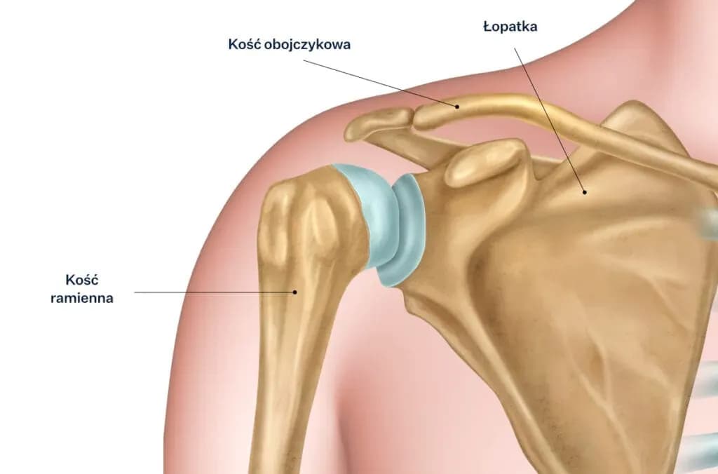 Jak długo trwa rehabilitacja po złamaniu kości ramiennej? Oczekiwania i proces