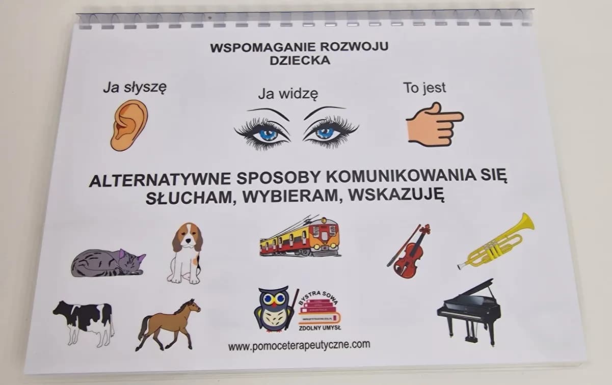 Alternatywne sposoby porozumiewania się osób niesłyszących, które działają
