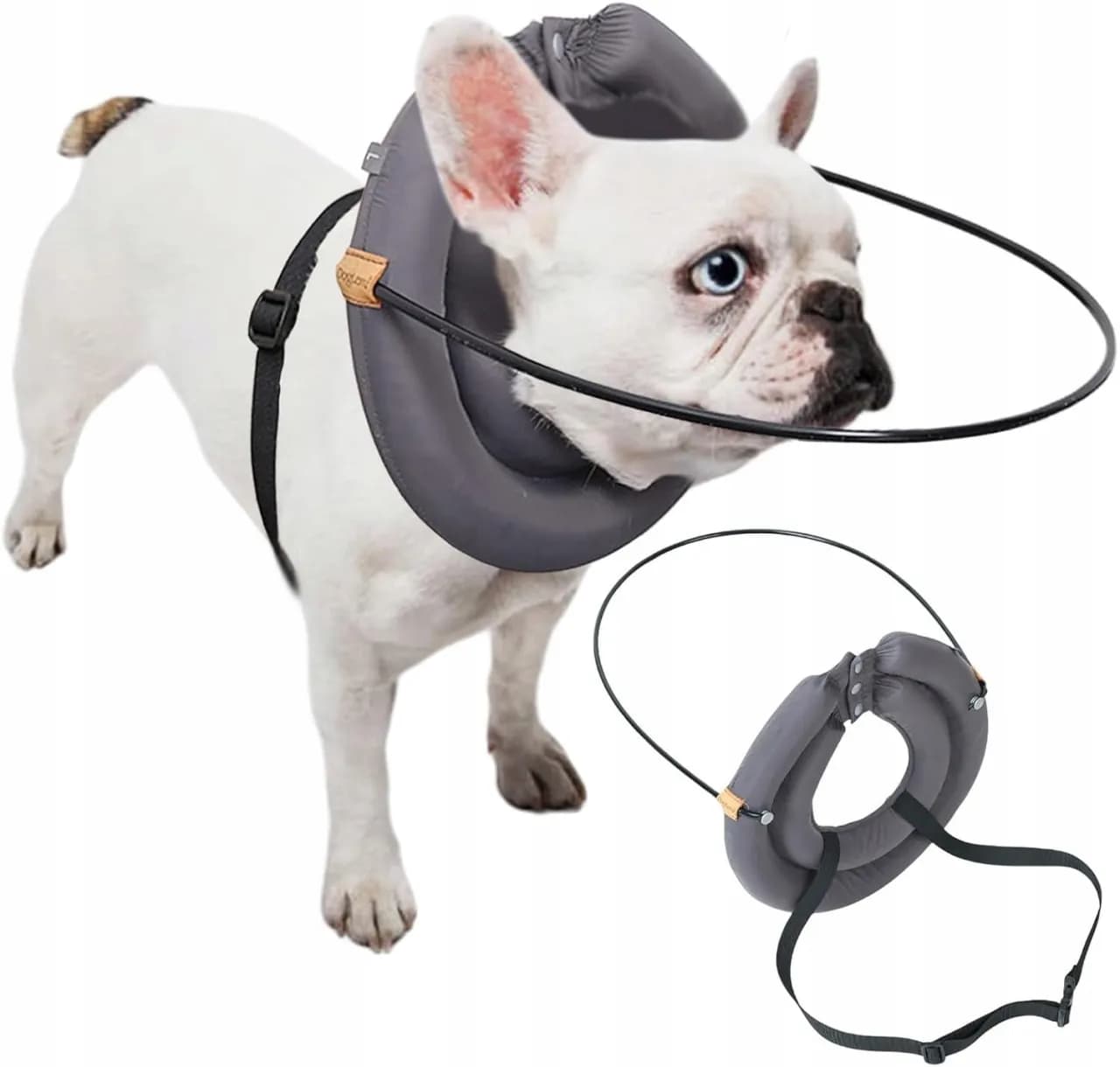 Akcesoria dla niewidomego psa, które zapewnią mu bezpieczeństwo i radość